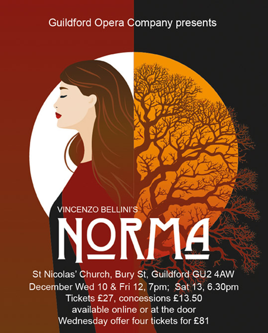 Norma banner